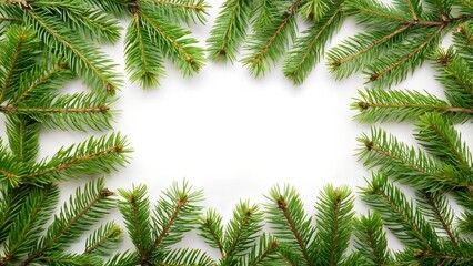 Christmas fir branches forming a border