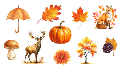 Naklejka premium Illustration of deer, mushroom, pumpkin, fox, leaves, tree, flowers, and berry in warm earthy colors. Perfect for seasonal branding, educational charts, and nature journals.