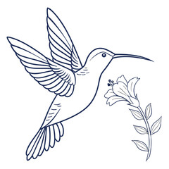 Elegant line art illustration of a hummingbird in flight gracefully approaching a delicate blooming flower with detailed wings and tail feathers