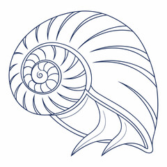 Obraz premium Elegant outline illustration of a nautilus shell showcasing its iconic spiral chambers and intricate geometric patterns against a clean white background