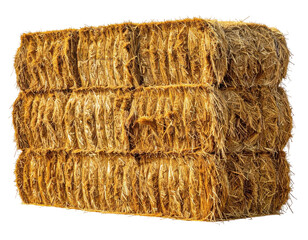 Compressed bales of straw stacked high