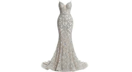 Obraz premium Elegant silver colored evening gown with sparkly design isolated PNG with Transparent Background