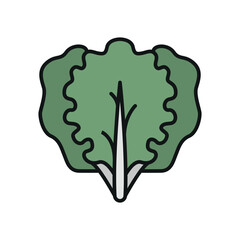 Kale icon in modern color with line for healthy lifestyle, organic, and kitchen content.