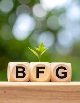 Three wooden cubes, light beige color, display the letters BFG. A small, green seedling sprouts between the cubes.  Blurred, out-of-focus background of bright, leafy green foliage
