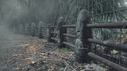 View of the old stone bridge path disappearing into the dense fog of a forest. The scene is scary and mysterious. Dramatic smoke or fog effect. Mockup. Copy Space. Wallpaper or Halloween background