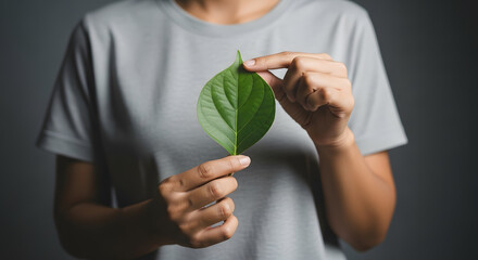 Green Energy, Renewable and Sustainable Resources. Environmental and Ecology Care Concept. Close up of Hand Holding a Heart Shape Green Leaf on Chest