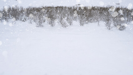 Winter scene with snowfall descending upon a snowy field and covering the ground and trees. Seasonal design or holiday themes for winter