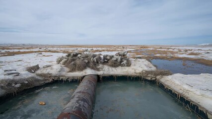 Camera moving forward in snowy marsh, showing rusted steel pipe over ice and icicle textures - Powered by Adobe