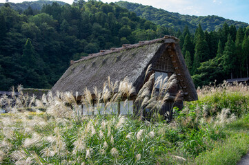 白川郷のすすきに囲まれた合掌造りの家と山の風景 © Jazz Hapi Yuko