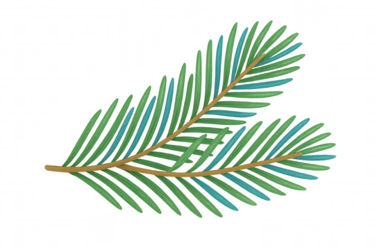 Pine evergreen branch with green and blue needles, a symbol of winter holidays and christmas season, on transparent background - Powered by Adobe