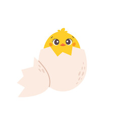 Chicken hatched from egg. Cute cartoon yellow bird on white background. Flat kids illustration of farm animal