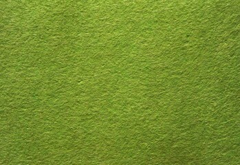 The textured surface is green, light green, pistachio color, herbal color as a background. Felt. High quality photo