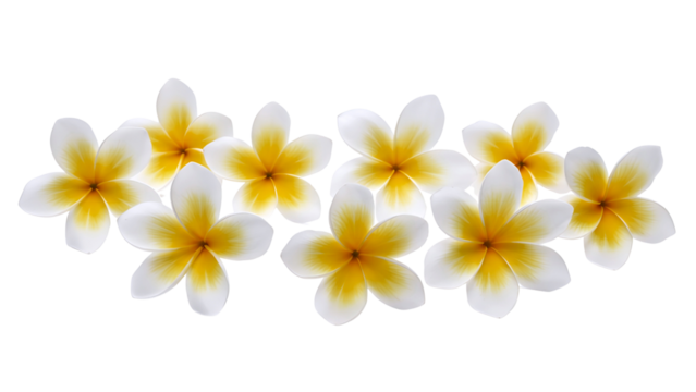 Three shiny golden coins of different shapes isolated on transparent background