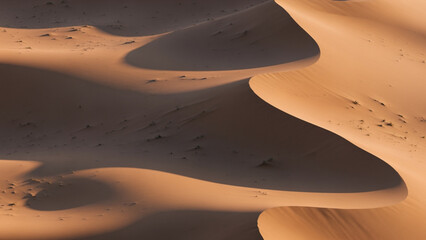 Aerial Golden Desert Dunes: Dramatic Light and Shadow