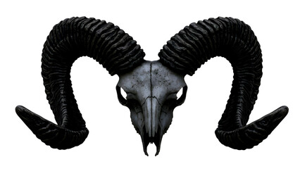 Dark ram skull with large curled horns isolated on transparent background