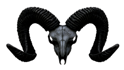 Dark ram skull with large curled horns isolated on transparent background