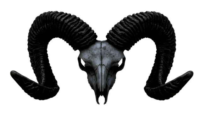 Dark ram skull with large curled horns isolated on transparent background