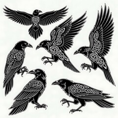 Fototapeta premium Celtic Knotwork Raven Tattoo Designs.