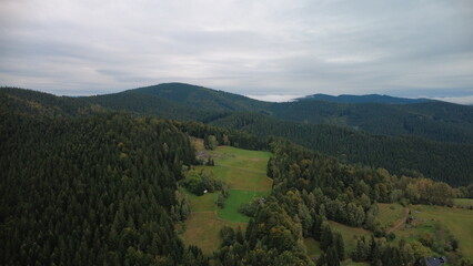 Obraz premium beautiful landscape in the mountains. the background is a forest