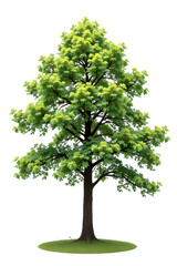 A solitary tree with vibrant green foliage standing tall and proud 