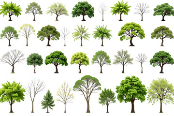 Diverse tree collection isolated against a plain background, showcasing various shapes and foliage. It offers a fresh perspective on the many forms of trees and their unique characteristics. 