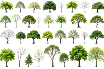 Diverse tree collection isolated against a plain background, showcasing various shapes and foliage. It offers a fresh perspective on the many forms of trees and their unique characteristics. 
