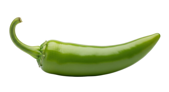Isolated Green Jalapeno Pepper, Chili Pepper, Spicy Vegetable, Raw Food, Healthy Ingredient