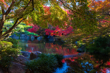 日本の風景・秋　兵庫県姫路市　紅葉の好古園