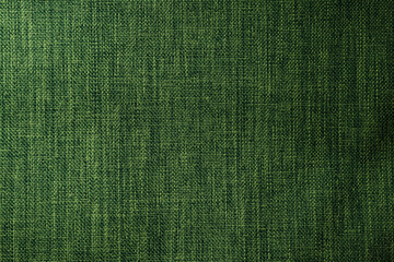 Close-Up of Green Woven Fabric with Detailed Texture