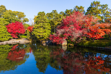 日本の風景・秋　兵庫県姫路市　紅葉の好古園