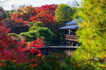 日本の風景・秋　兵庫県姫路市　紅葉の好古園
