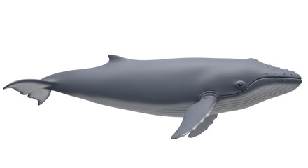 Isolated depiction of a gray whale under the sea, a baleen whale and rorqual whale species