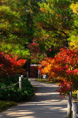 日本の風景・秋　兵庫県姫路市　紅葉の好古園