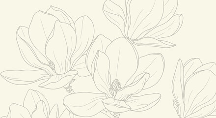 Magnolia line art on cream background