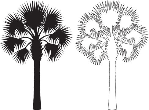 set of Palmetto tree silhouette. This image showcases a black silhouette of a palmetto tree, a tropical plant with distinctive fan-shaped leaves and a slender trunk. Vector clipart illustration
