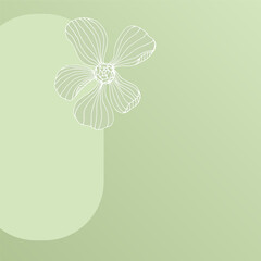 Green square background with doodle flower and space for text. Trendy backdrop design for social media, print, newsletters. Natural and eco-friendly background for cosmetics, spa, and health themes.