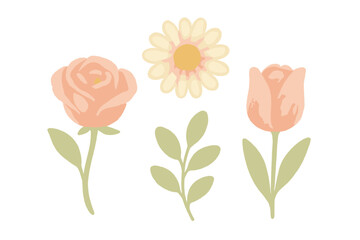 Delicate pastel watercolor style floral elements featuring a blooming rose, cheerful daisy, elegant tulip, and fresh green leaves