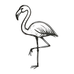 Fototapeta premium PNG Elegant flamingo sketch art