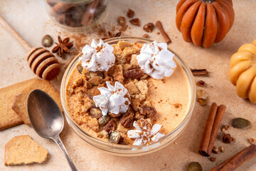 Pumpkin Pie Greek Yogurt Breakfast Bowl with pumpkin puree and seeds, pecan nits, graham crackers, topped with whipped cream and cinnamon, tasty autumn season snack or breakfast recipe