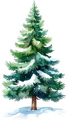 Fototapeta premium Watercolor illustration of a snow-covered evergreen tree (1)