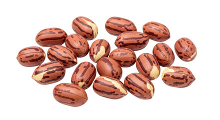 Isolated handful of delicious pili nuts are ready for consumption, perfect snack or dessert