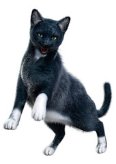 3D Rendering Black Cat on White