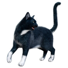 3D Rendering Black Cat on White