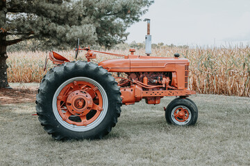 Obraz premium Vintage red tractor on farmland near cornfield. Old agricultural machinery on rural landscape, symbol of farming, harvest season and countryside lifestyle.