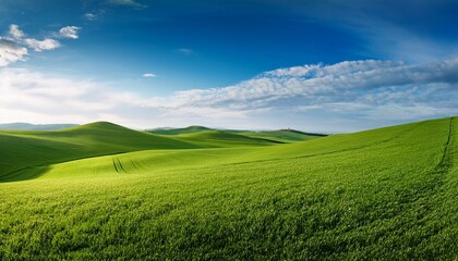 Obraz premium Green Field Landscape With Copy Space For Awareness Campaign