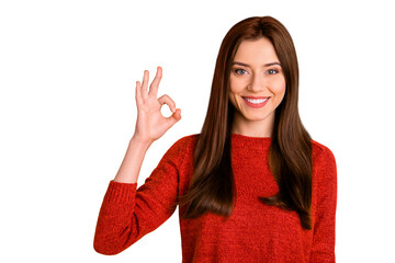 Portrait of positive cheerful lady promoter show ok sign recommend sales discount wear red jumper...