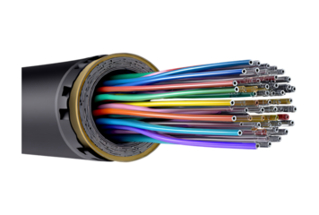Fiber optic cable cross section isolated on transparent background