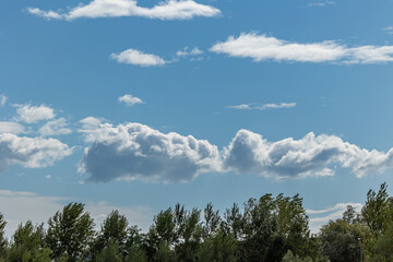 dettaglio del cielo azzurro di giorno prevalentemente sereno con qualche nuvola leggera ed alcuni alberi verdi in primo piano