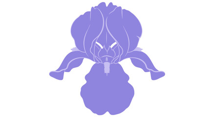Simplified lavender iris illustration
