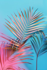 Palm fronds on cyan background, summer vibe for banner, product or blog design